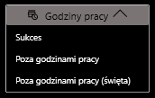 ustawienia_designer_godziny_pracy.png